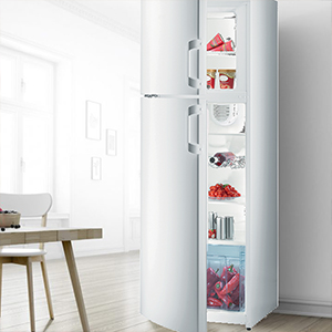 Refrigerator with Top Freezer